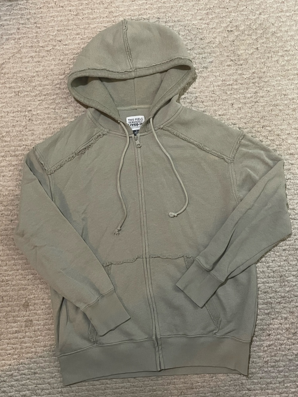 Sage Green American Eagle Zipup Hoodie